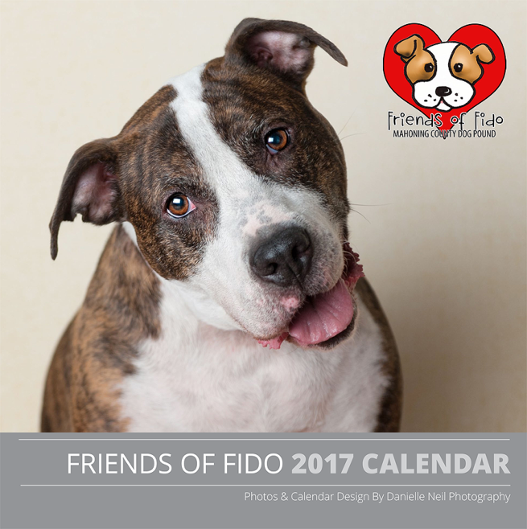 2017_friends_of_fido_calendar