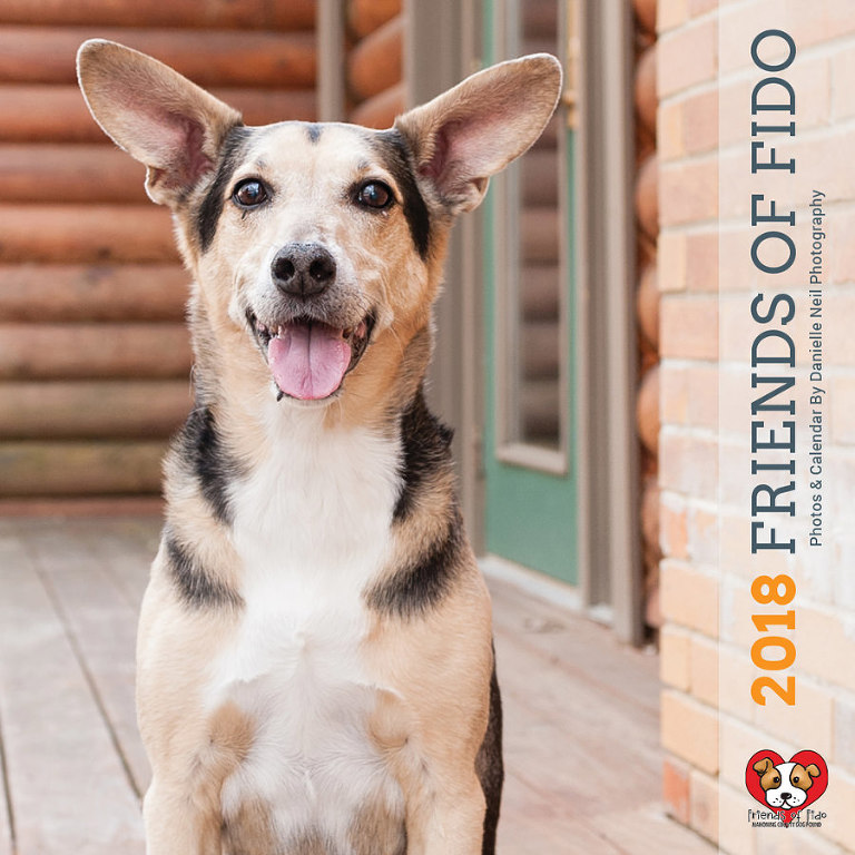 friends of fido 2018 dog photography calendar youngstown ohio